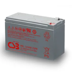 AEG Protect A 700 UPS Batteries HR1234W-A700