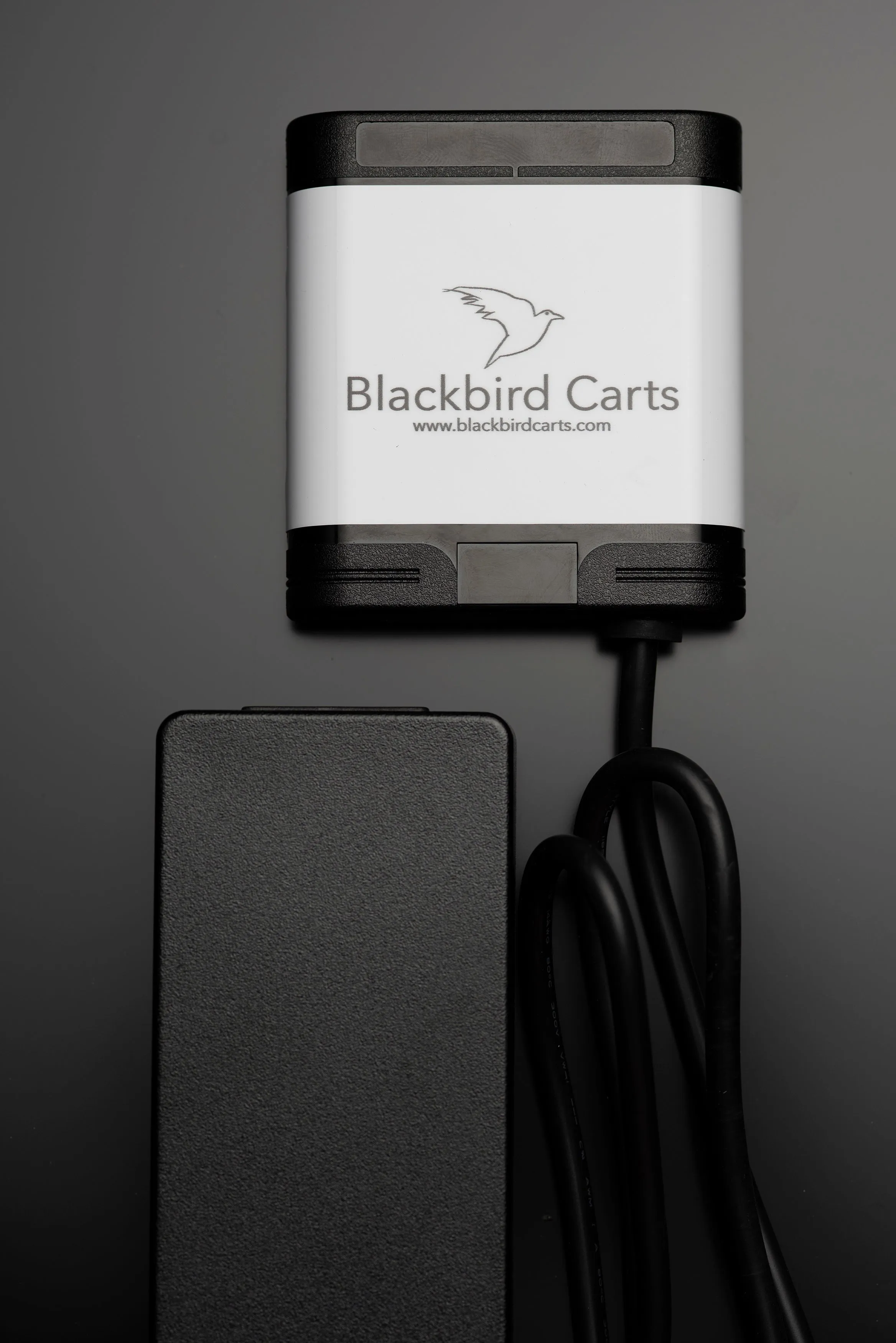 Blackbird Carts Smart Battery Eliminator AC/DC Converter