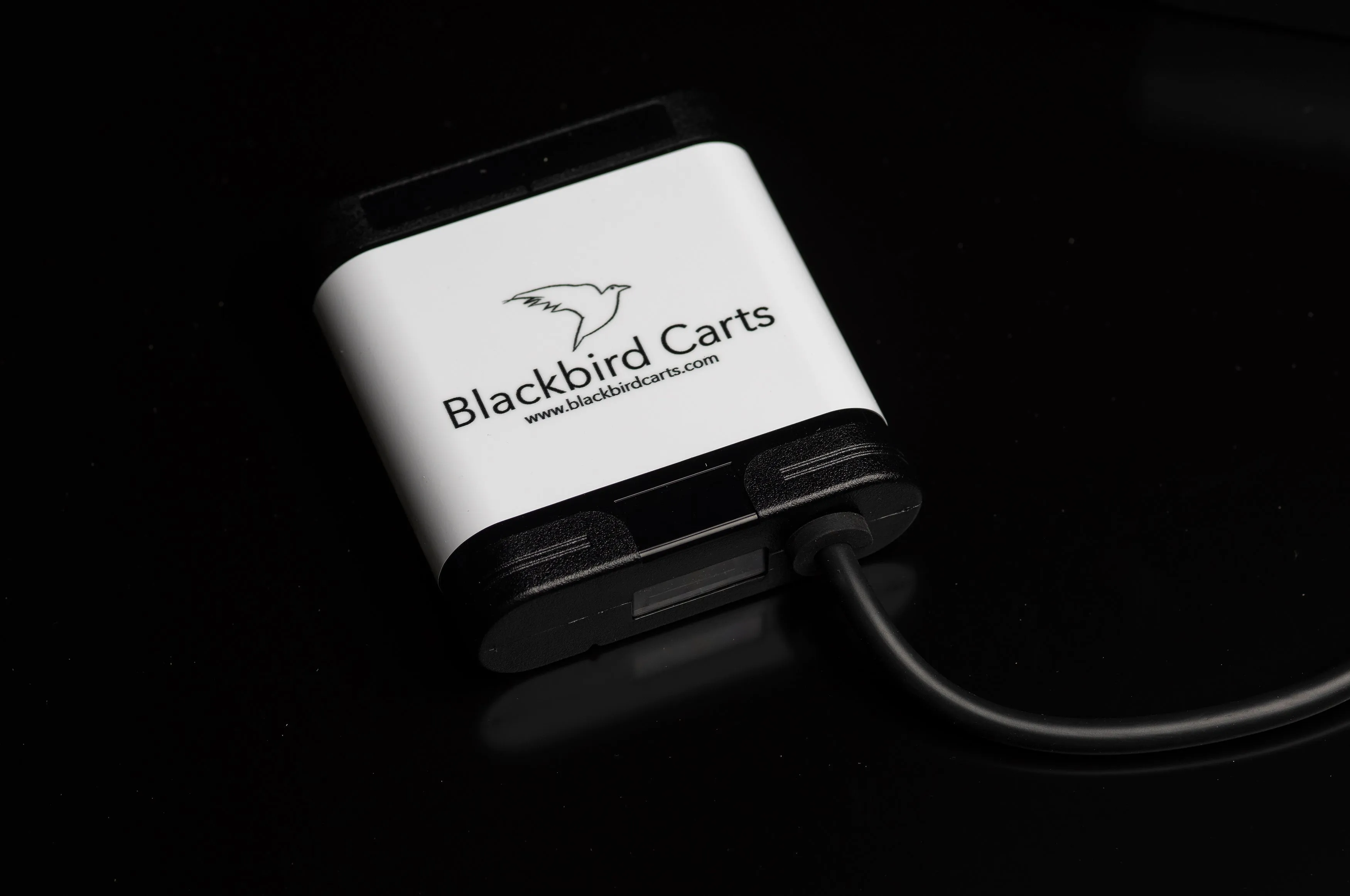 Blackbird Carts Smart Battery Eliminator AC/DC Converter