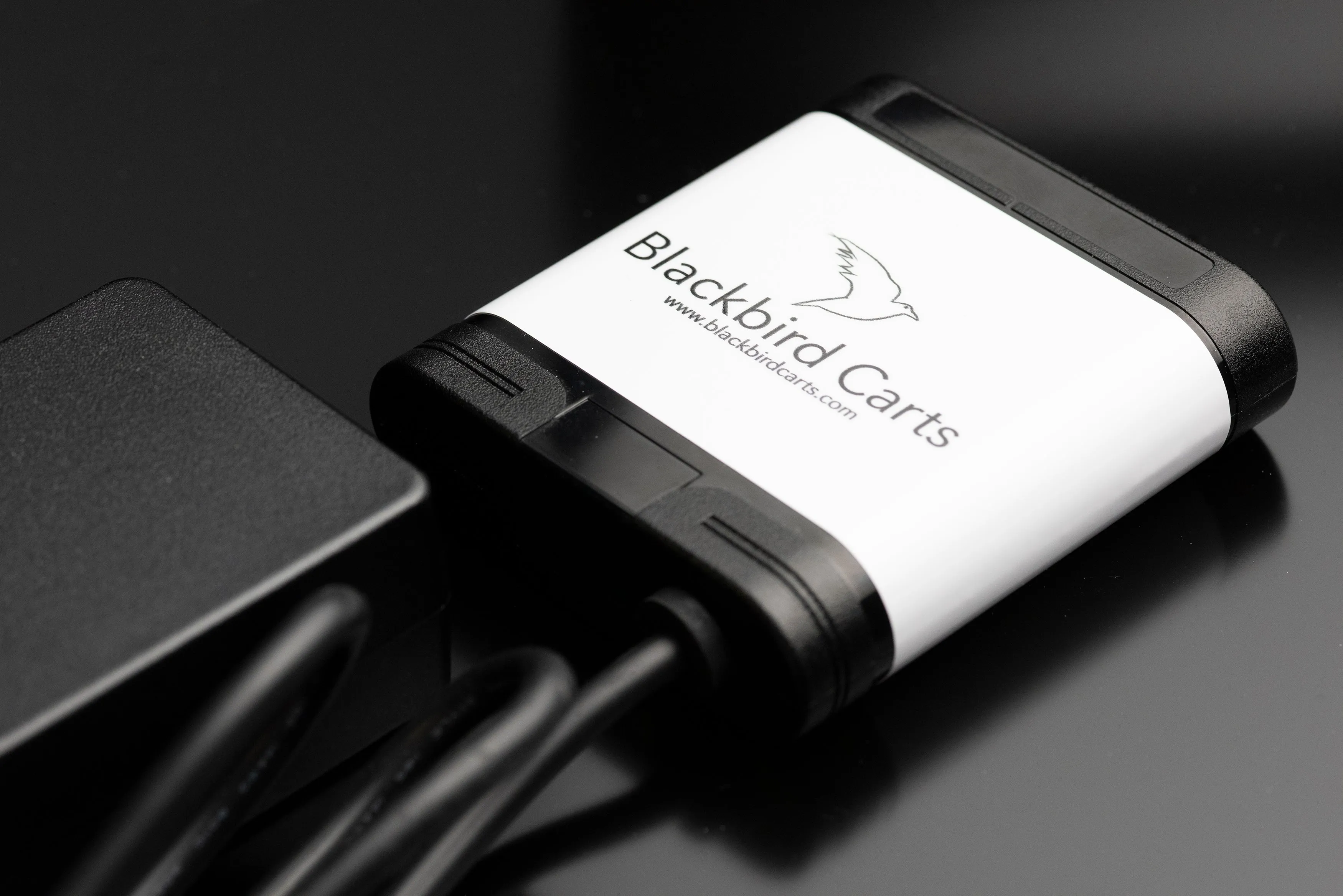 Blackbird Carts Smart Battery Eliminator AC/DC Converter