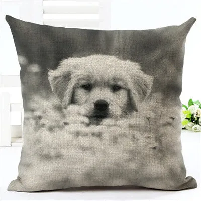 Hot Sale Angel Bull Terrier Cushion Covers Dog Pet 45x45cm Soft Material Pillow Cases For Kids Baby Girl Boy Bedroom Decor