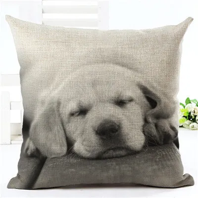 Hot Sale Angel Bull Terrier Cushion Covers Dog Pet 45x45cm Soft Material Pillow Cases For Kids Baby Girl Boy Bedroom Decor