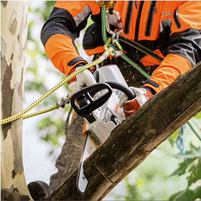 STIHL MSA 161 T Cordless Chainsaw