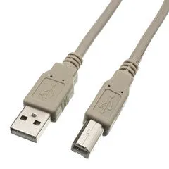 USB 2.0 Printer/Device Cable, Type A Male to Type B Male, 10 foot